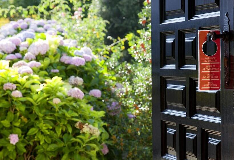 جناح, Nuevo San Román De Escalante