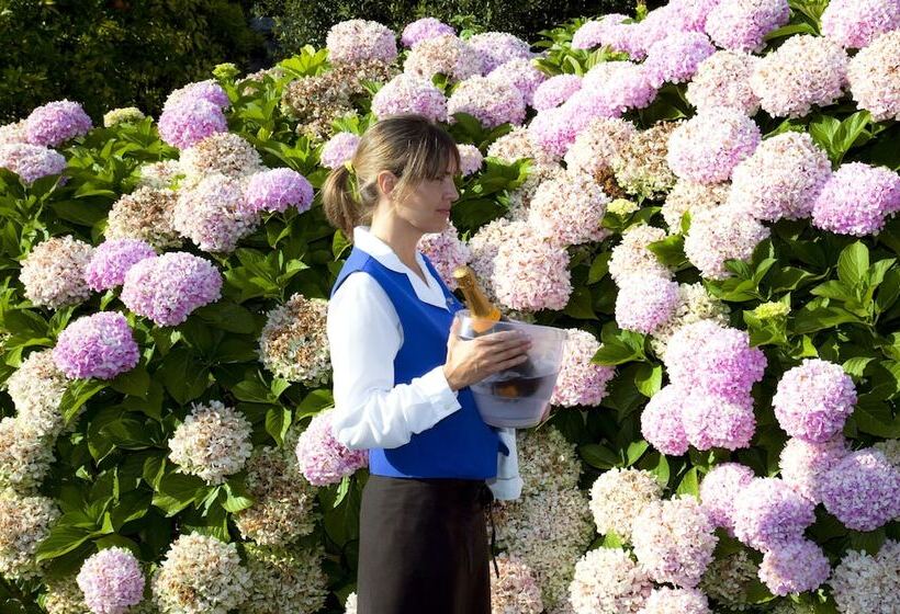 غرفة قياسية, Nuevo San Román De Escalante