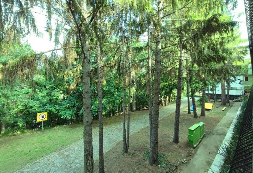 Номер Стандарт Вид на Парк, Park Hotel Briz All Inclusive & Free Parking