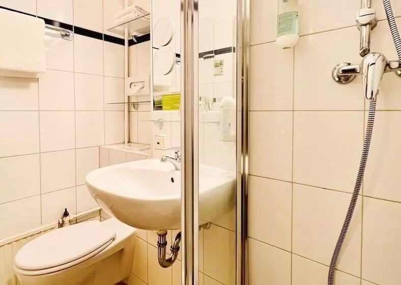 クラシックルーム, Ahorn Hotel Am Fichtelberg