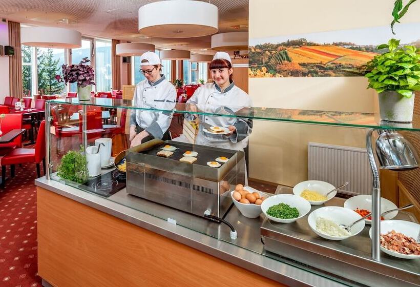 带观景的标准间, Ahorn Hotel Am Fichtelberg