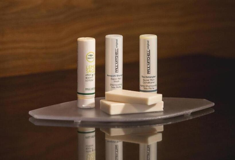 带城市景观的标准间, Courtyard By Marriott St. John S Newfoundland