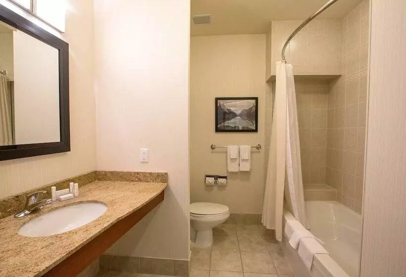 اتاق استاندارد با تخت دوبل و چشم‌انداز, Courtyard By Marriott St. John S Newfoundland