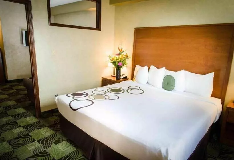 اتاق استاندارد با تخت بزرگ, Deerfoot Inn And Casino