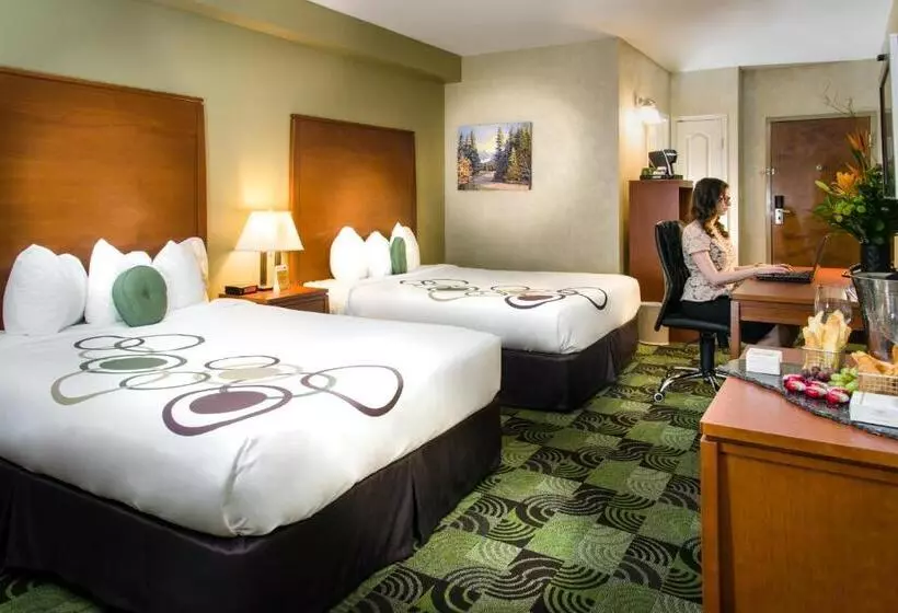 اتاق استاندارد, Deerfoot Inn And Casino