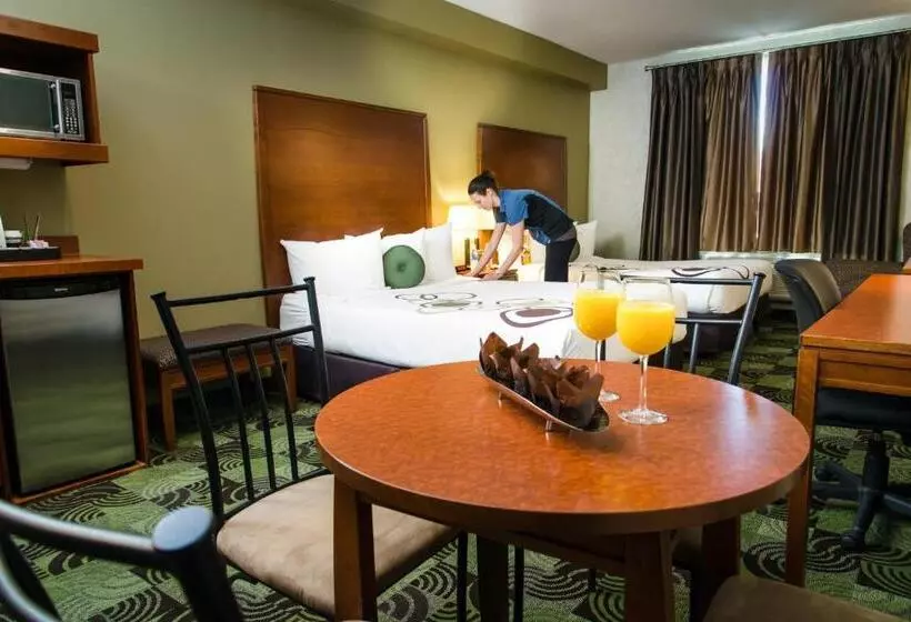 سوییت خانوادگی, Deerfoot Inn And Casino