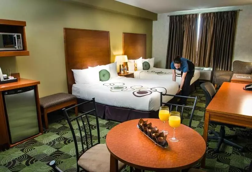 سوییت خانوادگی, Deerfoot Inn And Casino