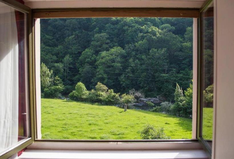 غرفة قياسية, Del Alto Sella