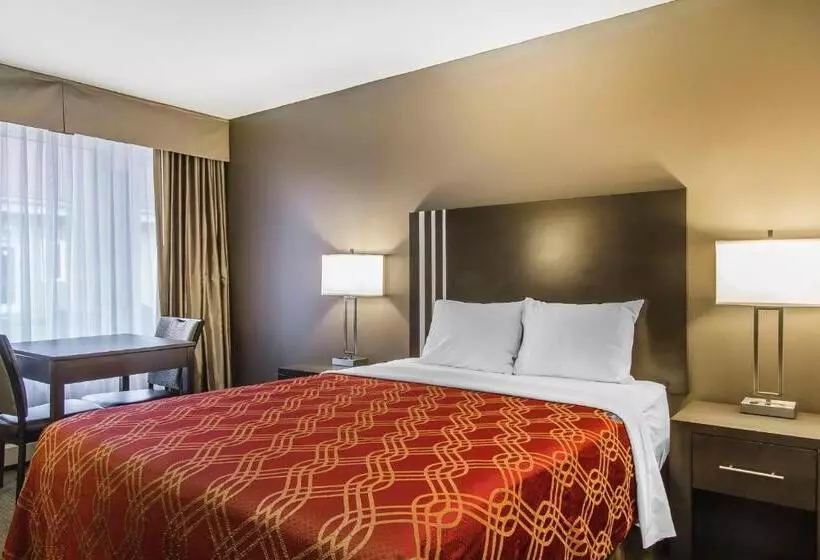 スタンダードルーム, Econo Lodge Inn & Suites
