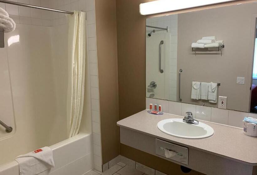 带大床的标准间, Econo Lodge Inn & Suites