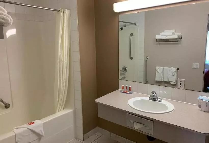 キングサイズベッドのスタンダードルーム, Econo Lodge Inn & Suites