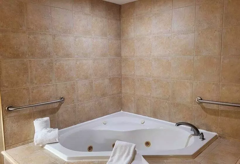 سوئیت با وان آب گرم, Holiday Inn Express & Suites Kitchener Southeast, An Ihg
