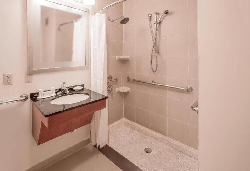 إستوديو قياسى سرير كينج, Residence Inn By Marriott New York Manhattan/times Square