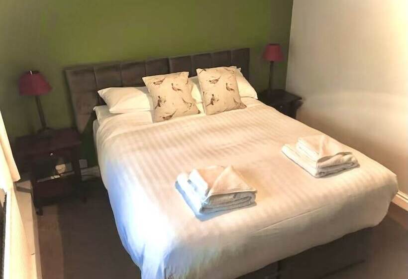 标准间, The Old Pheasant