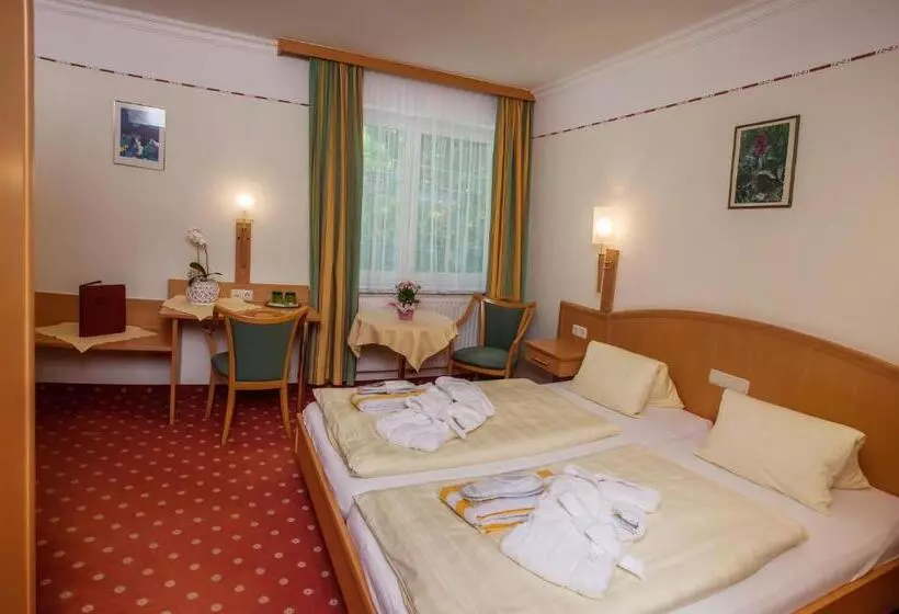 スタンダードシングルルーム, Landhotel Grünberg Am See