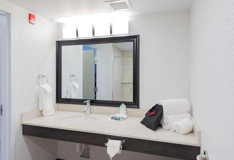 سوئیت اجرایی با تخت کینگ, Prestige Treasure Cove Resort, Worldhotels Elite