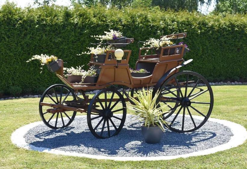 标准间带湖景, Alago Hotel Am See