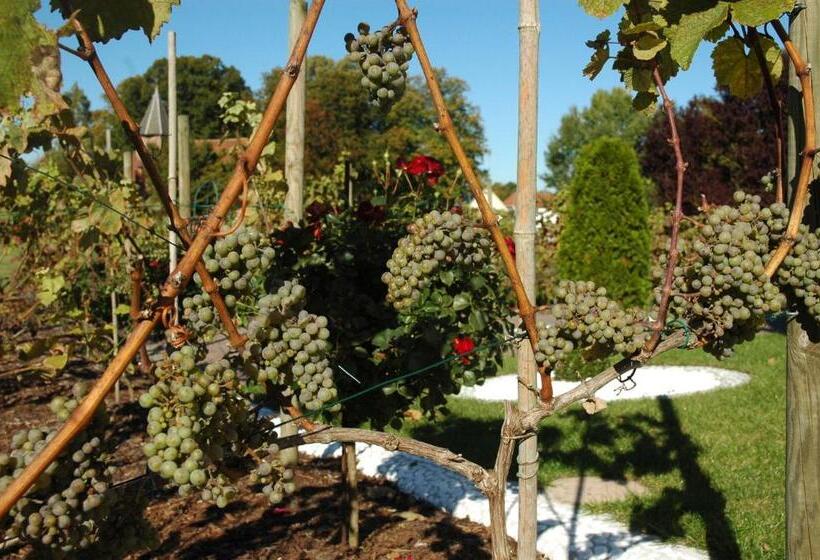 Номер Стандарт Вид на Парк, Alago Hotel Am See