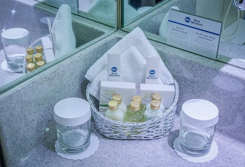 商务房间, Best Western Macrander Hotel Frankfurt/kaiserlei