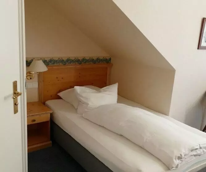 スタンダードシングルルーム, Emsland Hotel Saller See