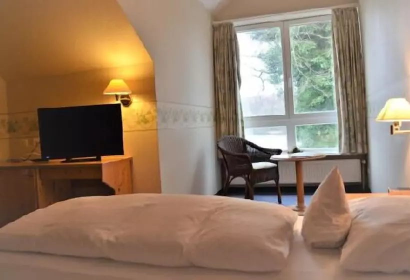 スタンダードシングルルーム, Emsland Hotel Saller See