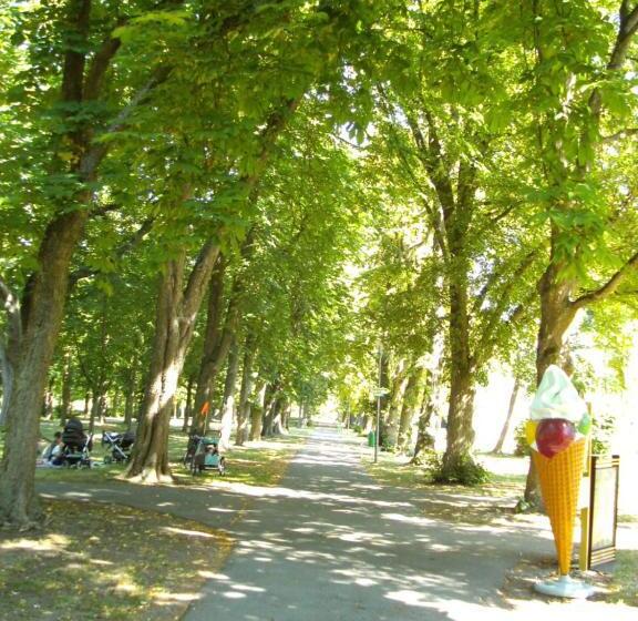 スタンダードシングルルーム, Reichels Park