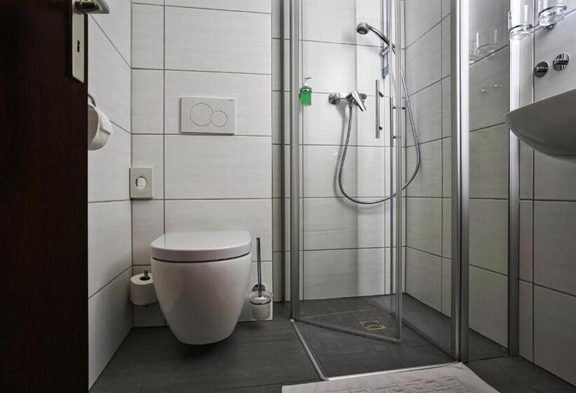 חדר סטנדרט נוף לגינה, Reichels Park