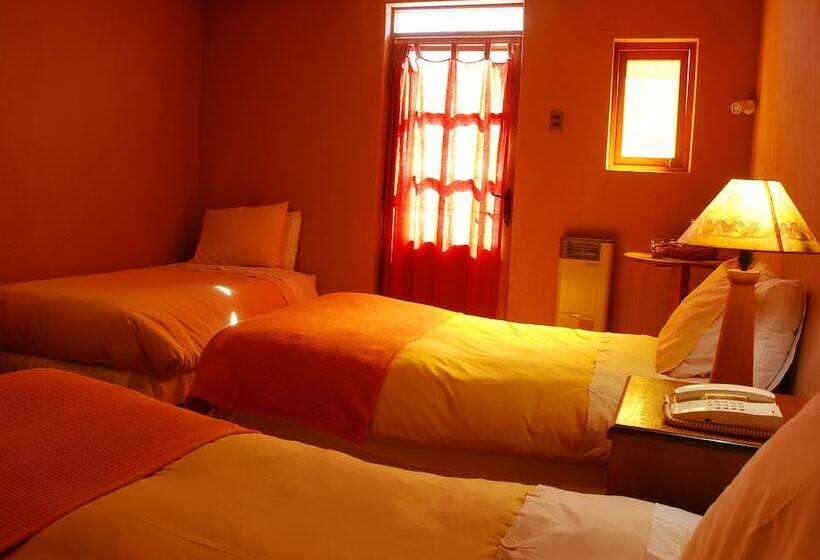 标准三人间, Tulor