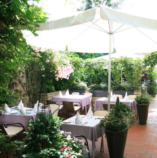 スタンダードシングルルーム, Unstruttal