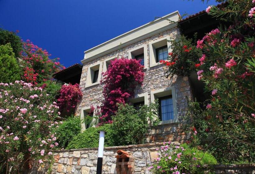 Номер Стандарт, Zeytinada