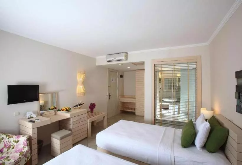 Standard Room, Zeytinada
