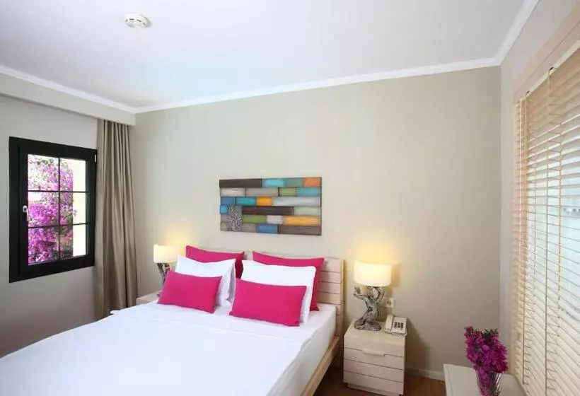 Suite, Zeytinada
