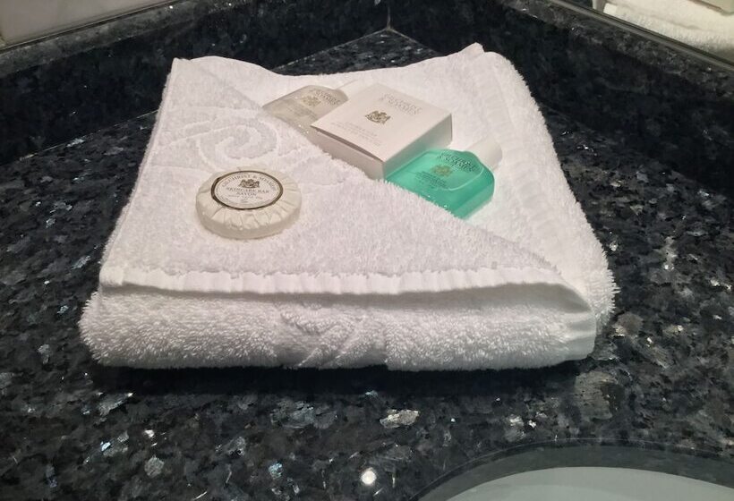 Номер Superior, Arora Hotel Gatwick