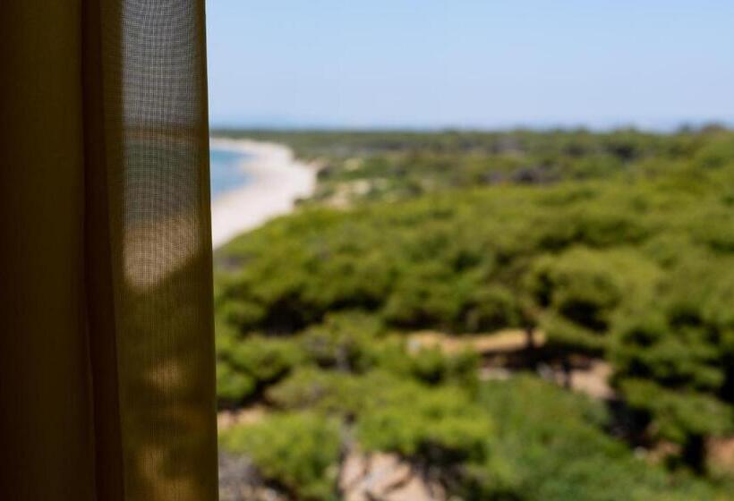 クラシックルーム, Ara Solis