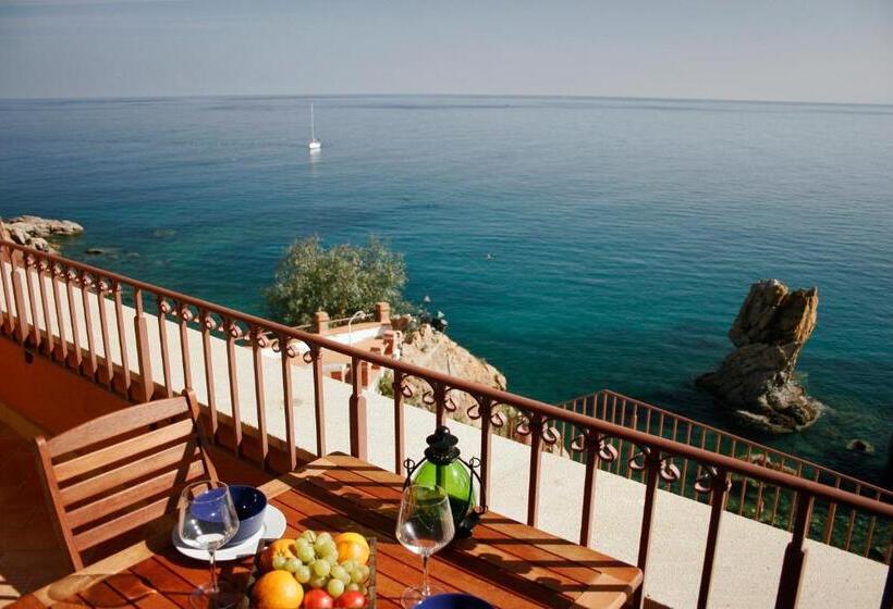 스탠다드 스튜디오, Kalura