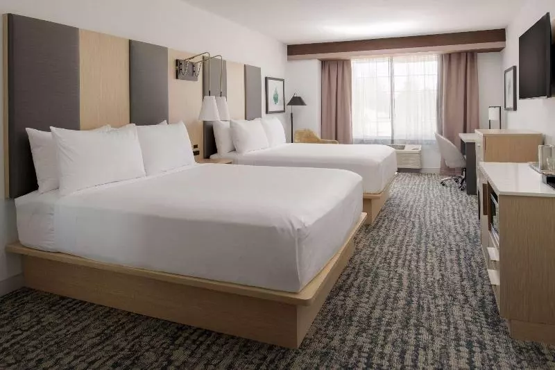 سوییت لوکس, Le Rose Suite