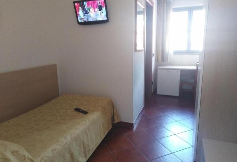 Standart Oda, Lizard