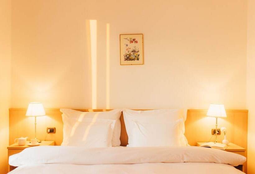 스탠다드 룸 호수 전망, Orione Lake Front