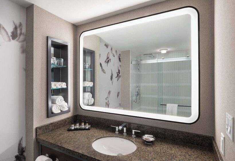 غرفه قياسيه سريرين مزدوجين, Hyatt Regency Coralville