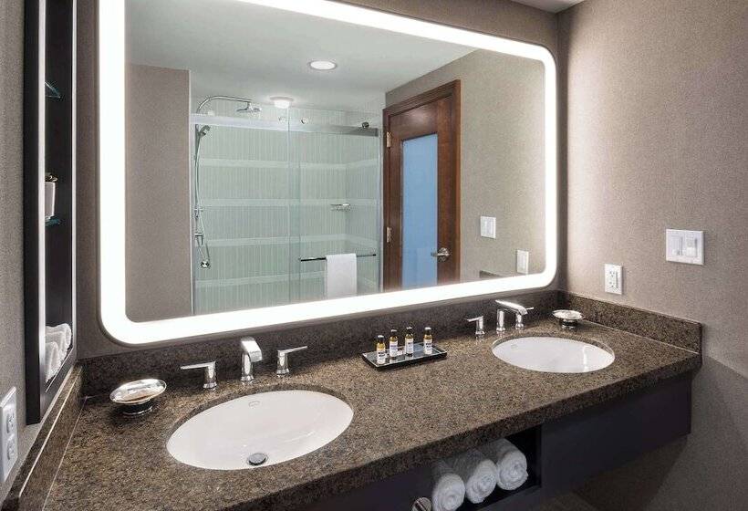 جناح مطل على البحر, Hyatt Regency Coralville