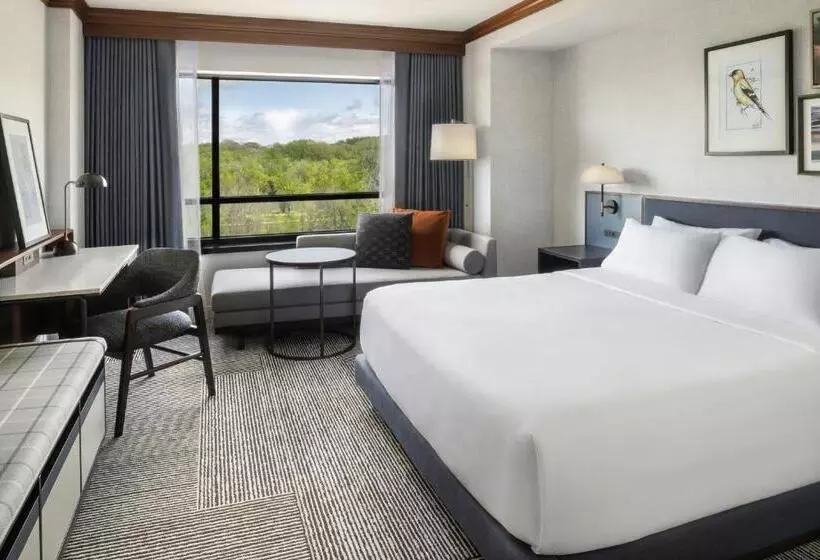 キングサイズベッドのスタンダードルーム, Hyatt Regency Coralville