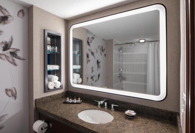 غرفه قياسيه سريرين مزدوجين, Hyatt Regency Coralville