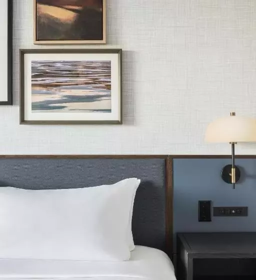 身障者適用キングサイズベッドルーム, Hyatt Regency Coralville