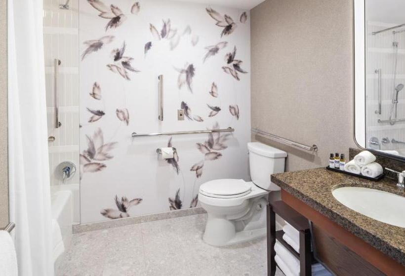 غرفة قياسية لذوى الاحتياجات الخاصة, Hyatt Regency Coralville