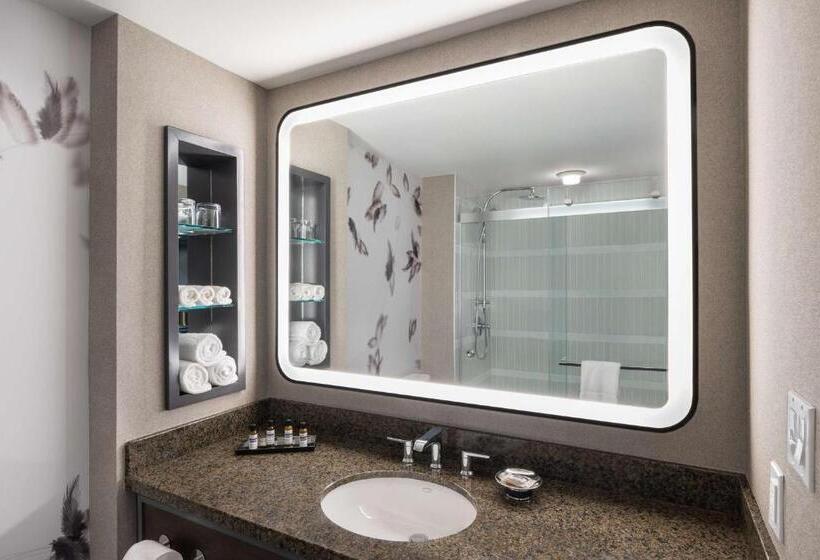 Стандартный Номер Кровать Кинг, Hyatt Regency Coralville