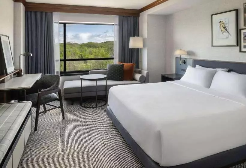 キングサイズベッドのスタンダードルーム, Hyatt Regency Coralville