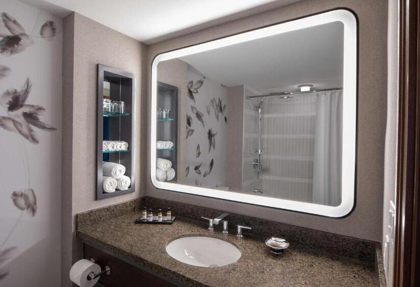 غرفه قياسيه سريرين مزدوجين, Hyatt Regency Coralville