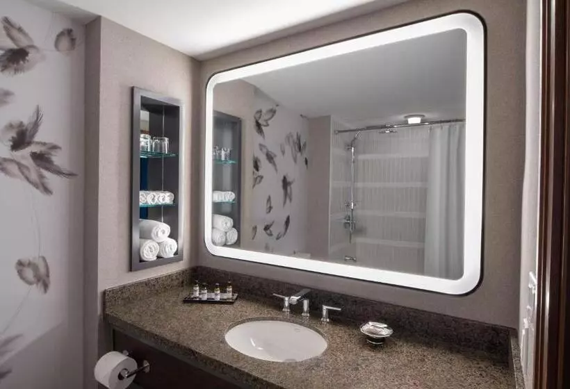 スタンダードルーム, Hyatt Regency Coralville
