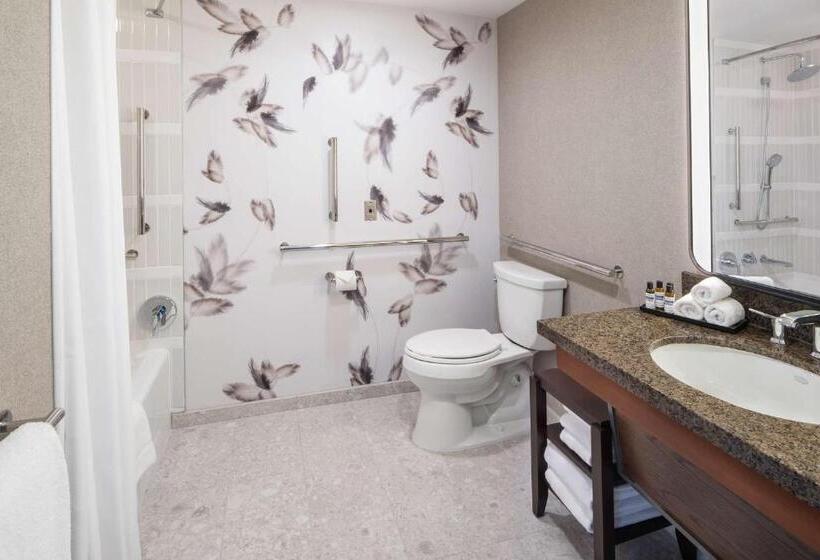 غرفة قياسية لذوى الاحتياجات الخاصة, Hyatt Regency Coralville