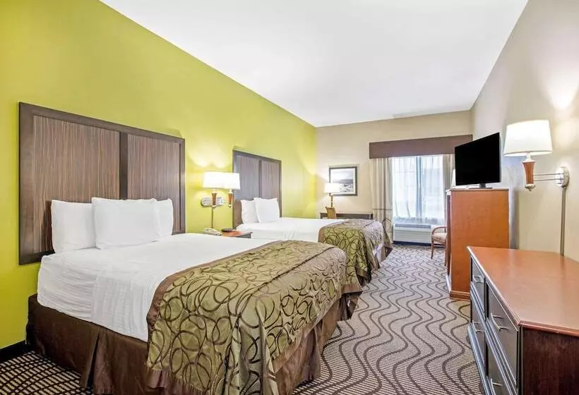 Standard-huone 2 Parivuodetta, La Quinta By Wyndham Corpus Christi Airport